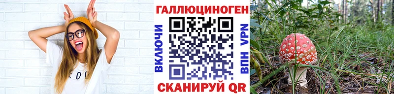 Псилоцибиновые грибы Magic Shrooms  Купить закладки  Бузулук 